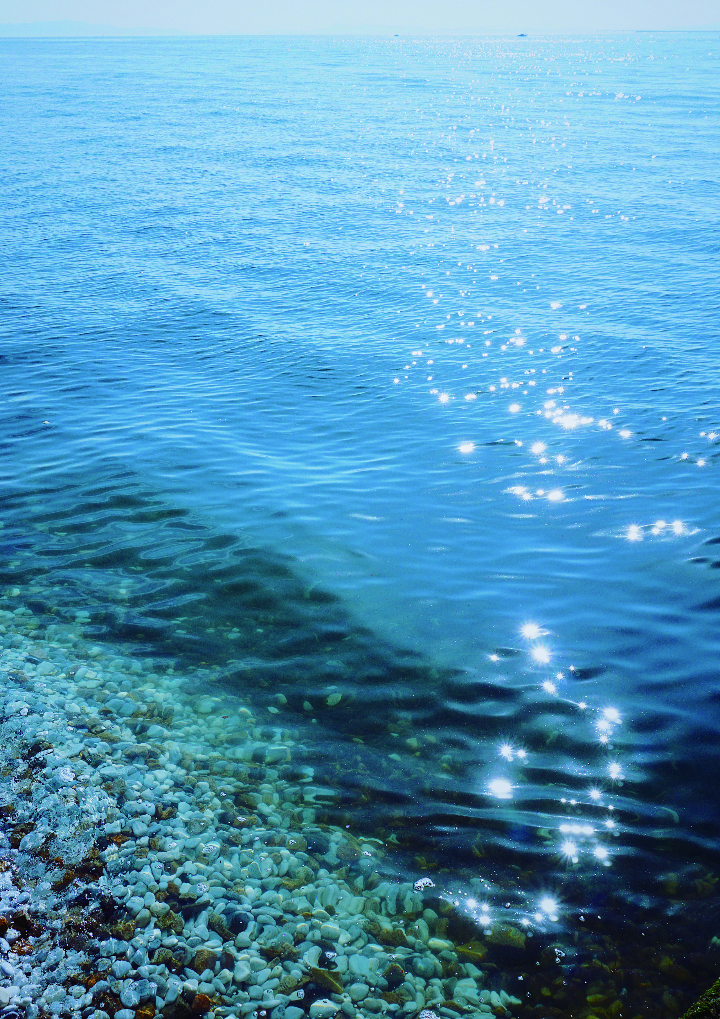 海